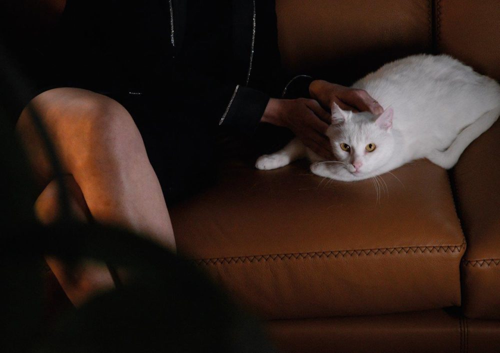 fotomathdet7 7 fotomathdet7 7